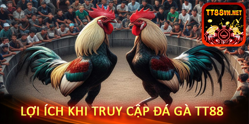 Lợi ích khi truy cập đá gà tt88