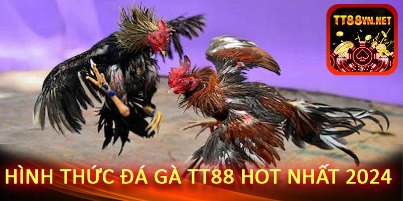 Hình thức đá gà tt88 hot nhất 2024